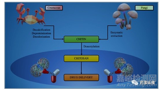 壳聚糖在药物制剂中的应用