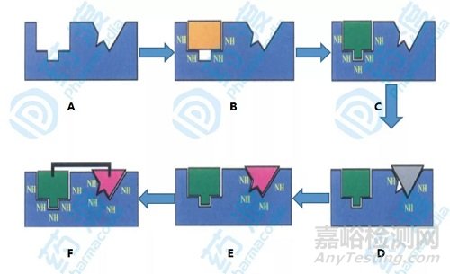 药物研发新革命—核磁共振技术加速先导化合物发现