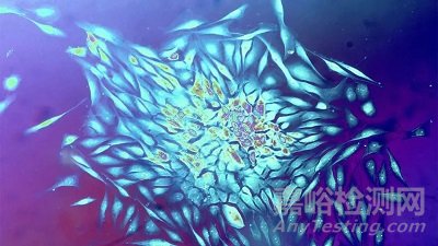 盘点2020年世界十大科技进展