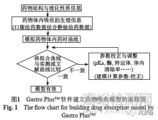 生理药动学模型在固体口服制剂一致性评价中的应用