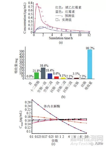 生理药动学模型在固体口服制剂一致性评价中的应用