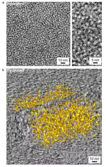 冷冻电镜在纳米材料、能源存储和催化领域的最新研发进展