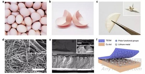 冷冻电镜在纳米材料、能源存储和催化领域的最新研发进展