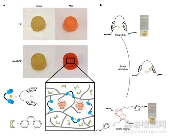 Stephen L Craig/唐传兵合作《Nat. Chem.》：二茂铁高分子力化学