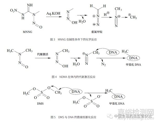 基因毒性杂质的挑战与控制策略——从ICH 指导纲领到实际操作层面