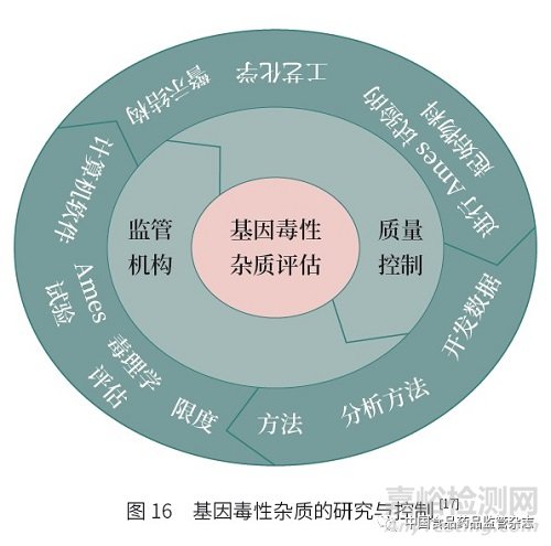 基因毒性杂质的挑战与控制策略——从ICH 指导纲领到实际操作层面