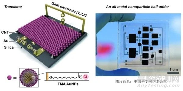 金属纳米颗粒晶体管研究取得进展