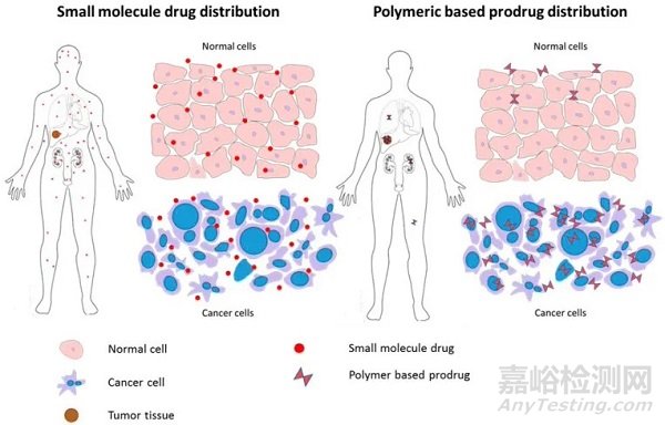 可生物降解的聚合物涂层