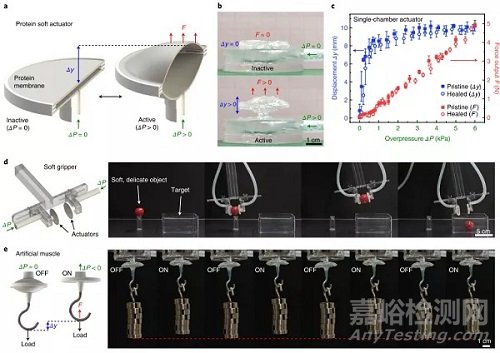 自修复柔性电子研究进展速递