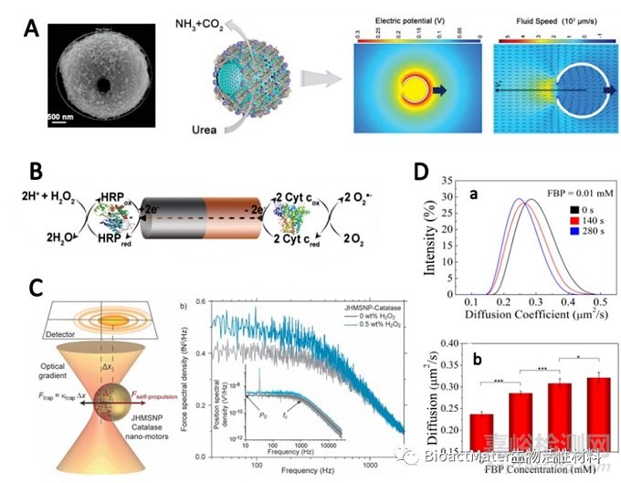 生物酶驱动微纳米马达的原理及其应用