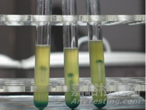 大肠菌群检测知识及mpn法检测的注意要点