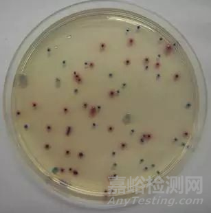 大肠菌群检测知识及mpn法检测的注意要点