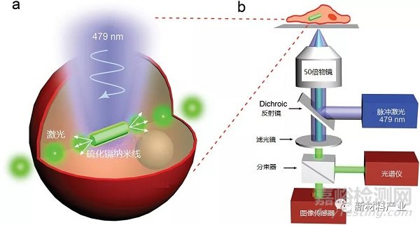 半导体激光器器件和材料研究进展