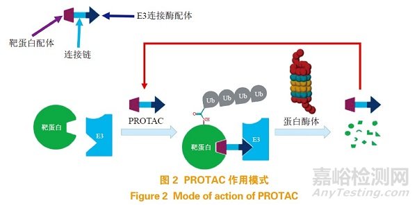 蛋白降解靶向嵌合体（PROTAC）在小分子药物研发中的机遇与挑战