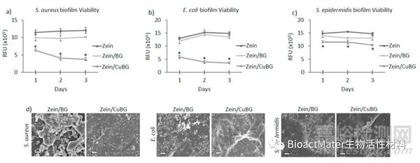 玉米蛋白-生物活性玻璃/铜基涂层用于植入式不锈钢的抗菌、促血管生成和促骨整合：旨在促进骨愈合