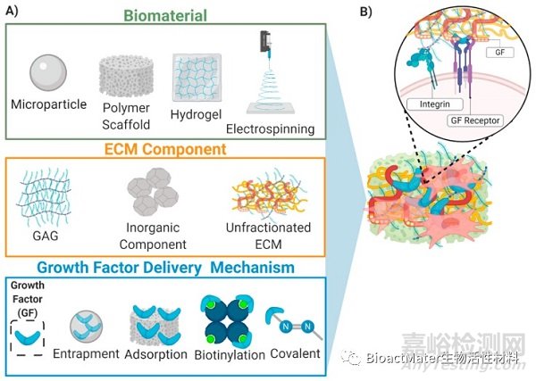 利用模拟细胞外基质的载体递送生长因子，用于肌肉骨骼组织工程和修复