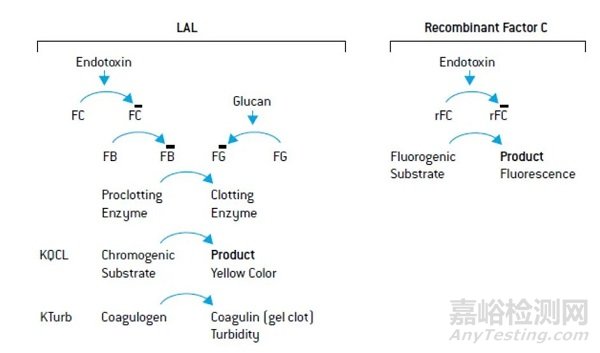 内毒素检测新方法:重组C因子法