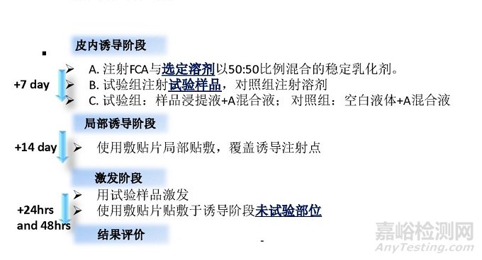 医疗器械致敏试验的测试方法、测试标准及测试步骤