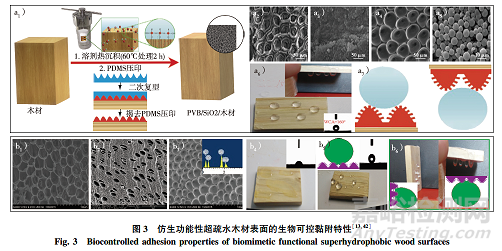 专论综述｜仿生超疏水木材表面微纳结构制备研究进展