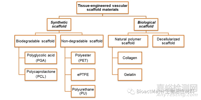 组织工程血管的不同内皮化方式及种子细胞选择