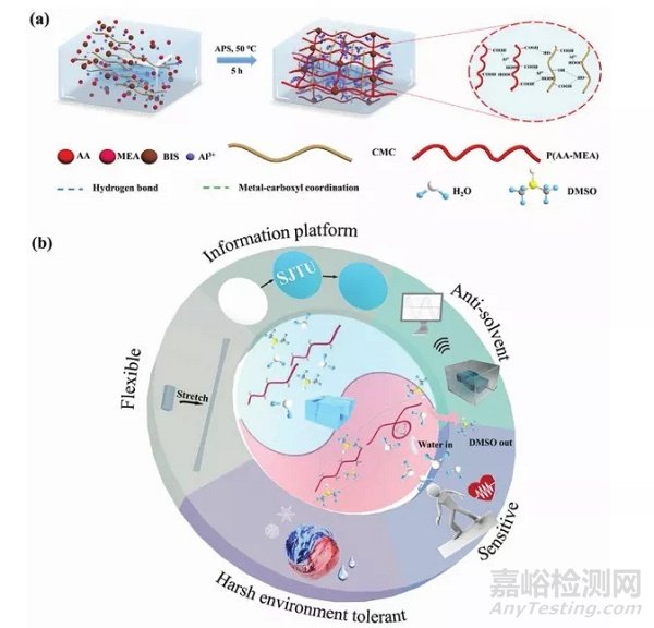 上海交通大学陈玉洁/李华团队《AFM》:水凝胶玩出新花样，可以用于信息加密与存储