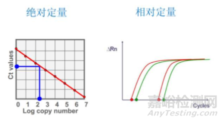 荧光定量PCR要点大解析