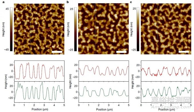 电镜月征文参赛作品：原子力显微镜之数据分析