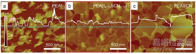 电镜月征文参赛作品：原子力显微镜之数据分析