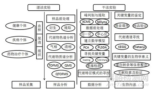 代谢组学中常5大分析方法