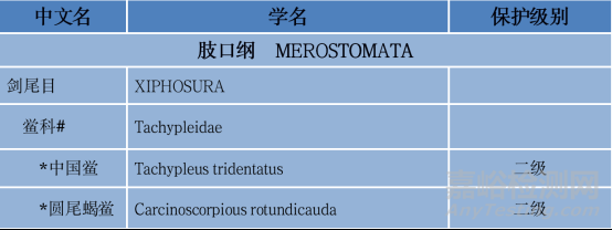 医疗器械热原检测方法简介与对比