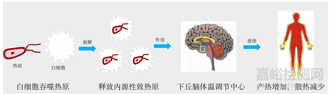 医疗器械热原检测方法简介与对比