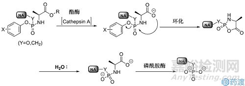 核苷类药物ProTide前药技术概念及临床应用