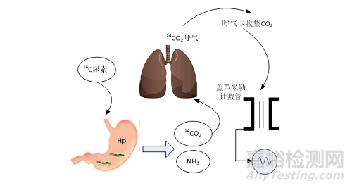 幽门螺杆菌检测仪自动进样系统的设计与实现