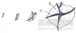 一文详述灰铸铁和球墨铸铁凝固原理与区别