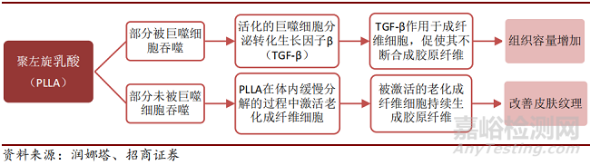 童颜针市场迈向合规，有望成为下一风口!