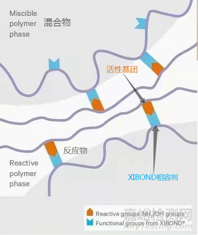 相容剂为生物降解材料改性“搭桥”