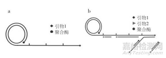 分子诊断技术全解析