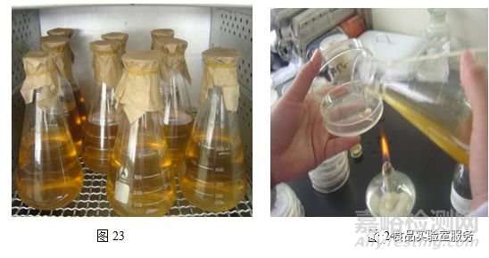 微生物取样、样品制备技巧及稀释、接种、培养方法汇总