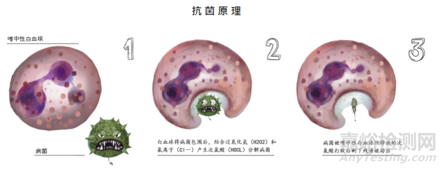 次氯酸水小知识，你知道了吗