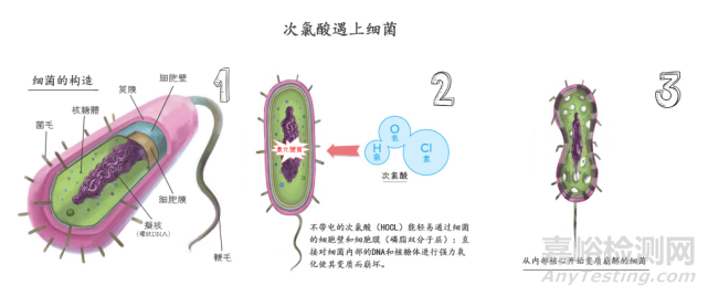 次氯酸水小知识，你知道了吗