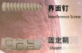 运动医学介绍及行业分析