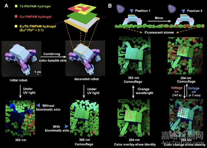 基于智能多色荧光高分子水凝胶的仿生变色皮肤研究取得新进展