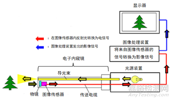 电子上消化道内窥镜的研发实验要求、相关标准与主要风险