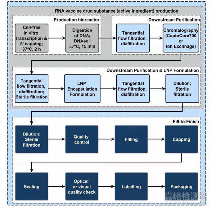mRNA药物背后的工艺开发