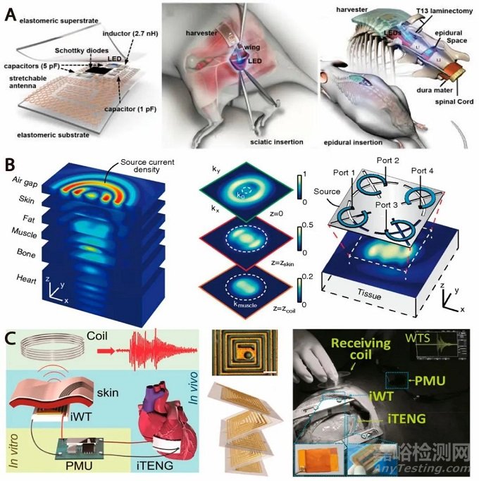 吉林大学汪大洋/程崇岭《ACS Nano》综述：为植入式生物医学设备无线供电的皮下光收集技术进展