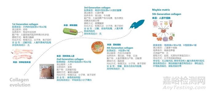 细胞外基质复合胶原蛋白成医美新宠