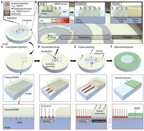 韩国提出浮动组装法制备电子皮肤导电和弹性纳米膜