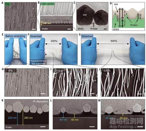 韩国提出浮动组装法制备电子皮肤导电和弹性纳米膜