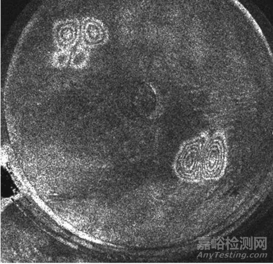 自由装填式药柱包覆层黏接质量的激光错位散斑检测