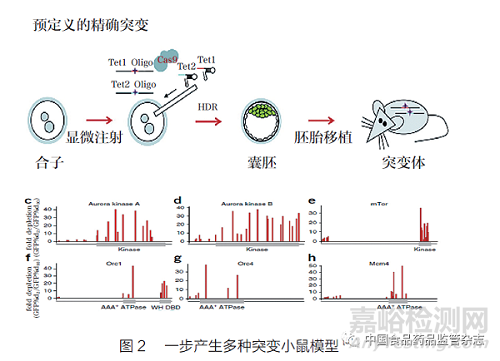 生物医药科技创新前沿、我国发展态势和新阶段的若干思考